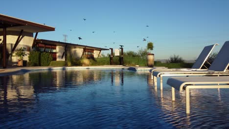 Dolly-left-shot-of-birds-flying-low-above-a-private-pool-and-residence
