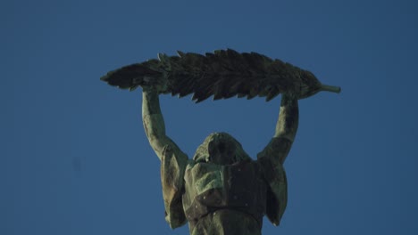 the historical liberty statue in the citadel, budapest - tilt down