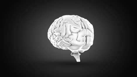 brain spinning on black background