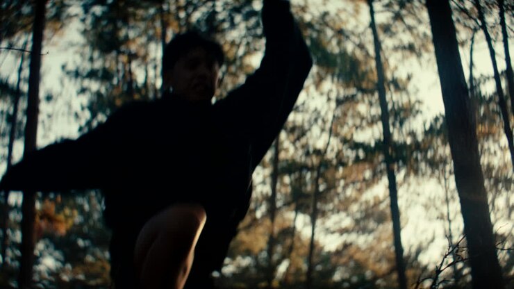 persona en un bosque