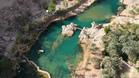 aerial of amazing wadi bani khalid oasis with turquoise water and palm trees in oman