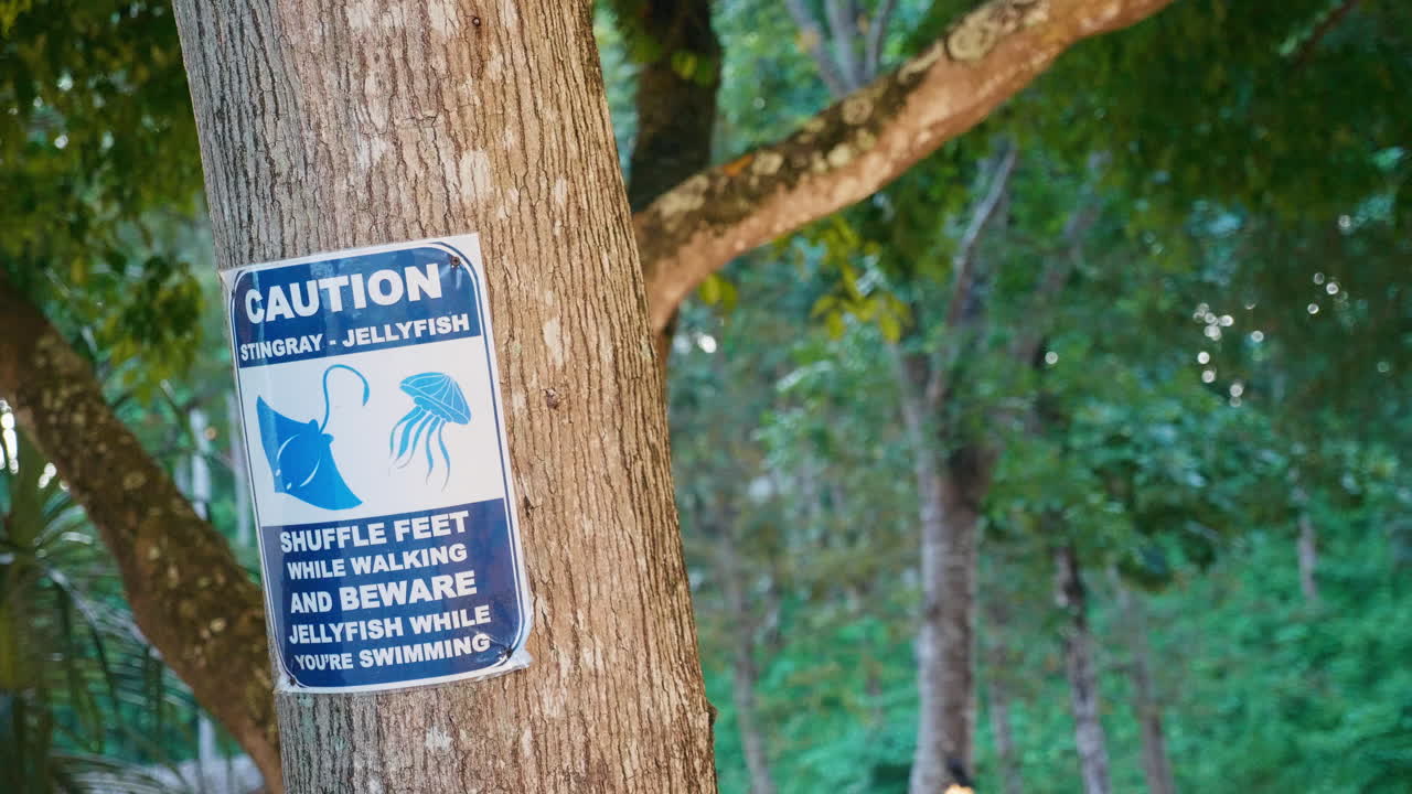 Caution Sign for Stingrays and Jellyfish