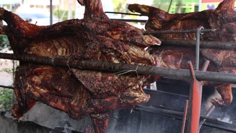 whole pigs roasting on a rotisserie setup