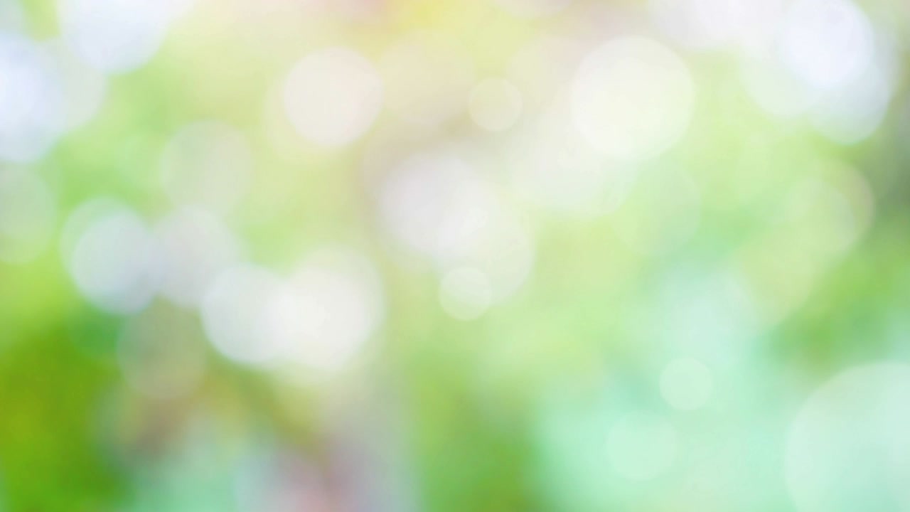 Fundo de mola abstrato com bokeh
