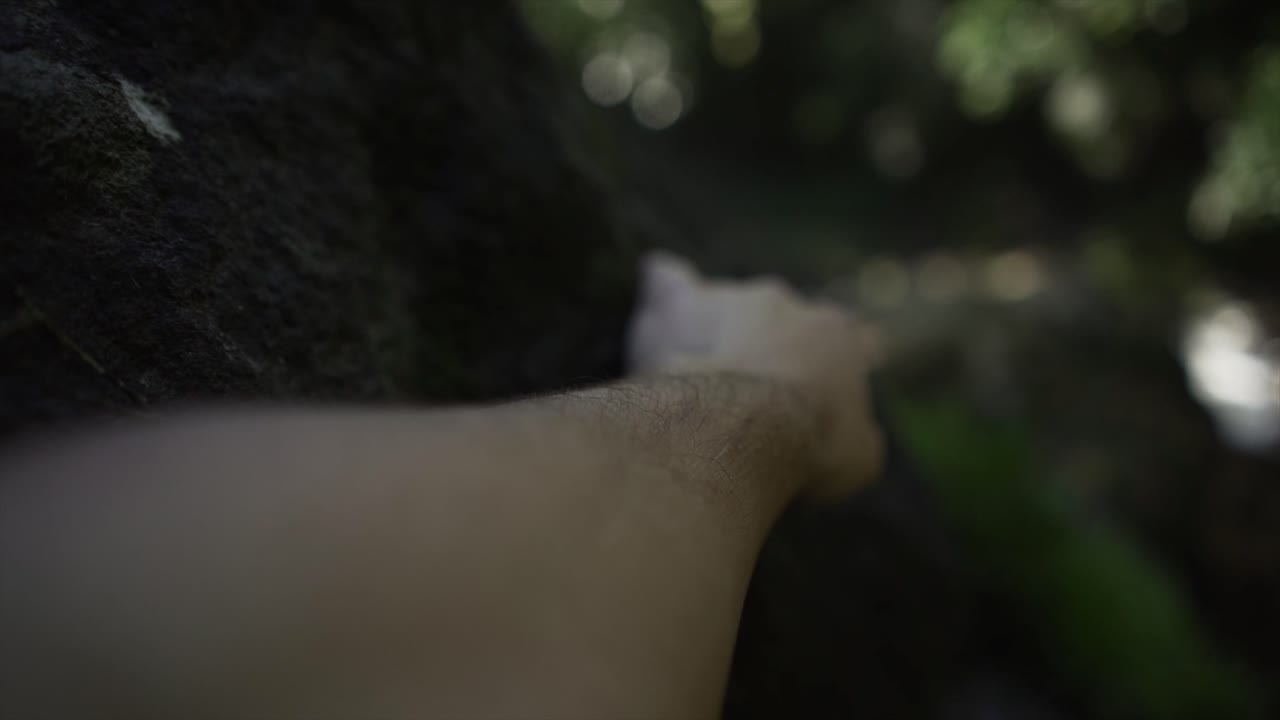 Hand touching a tree