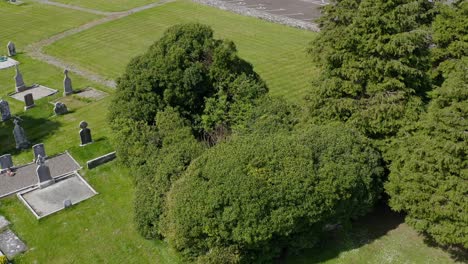 Cargin-church-walls-overgrown-with-shrubs,-wide-angle-orbit