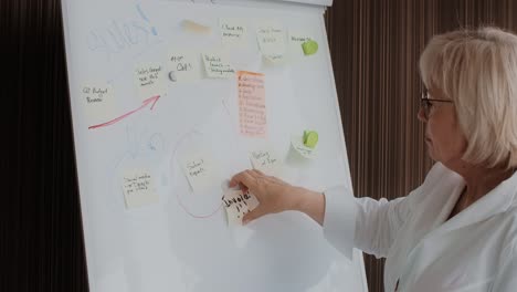 businesswoman planning and executing a strategy on a whiteboard