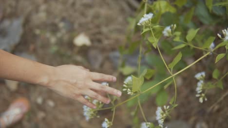 Botanische-Verbindung:-Die-Berührung-Der-Natur-Genießen