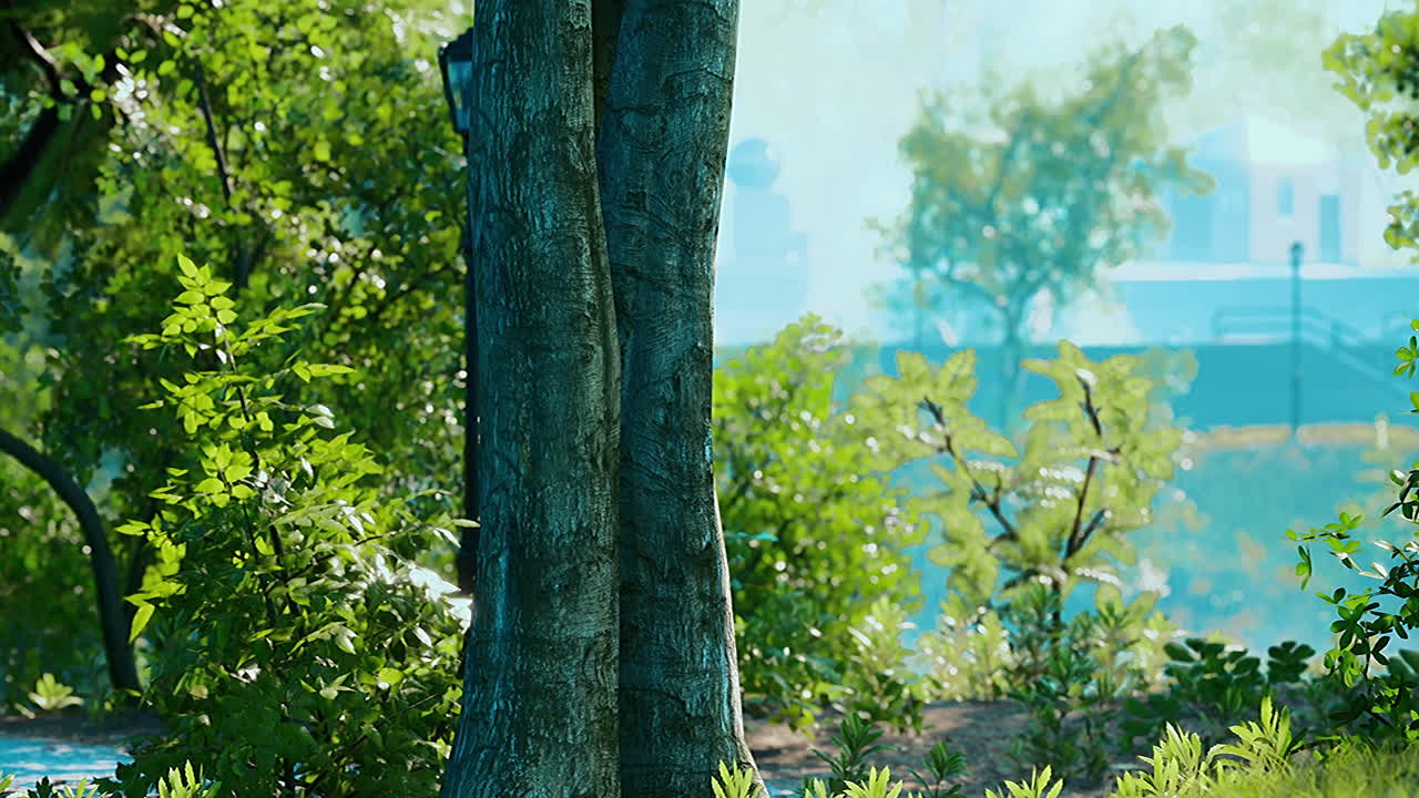 도시 의 초록색 잔디 ⁇  과 함께 공원 의 경치 좋은 전망