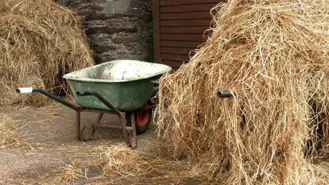 hay in the horse stable