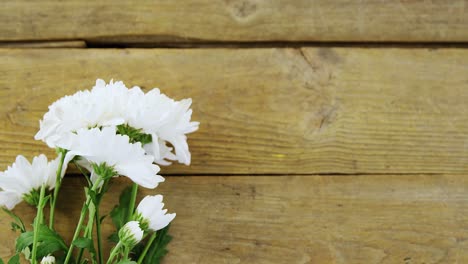 Bunch-of-white-flowers-on-wooden-plank