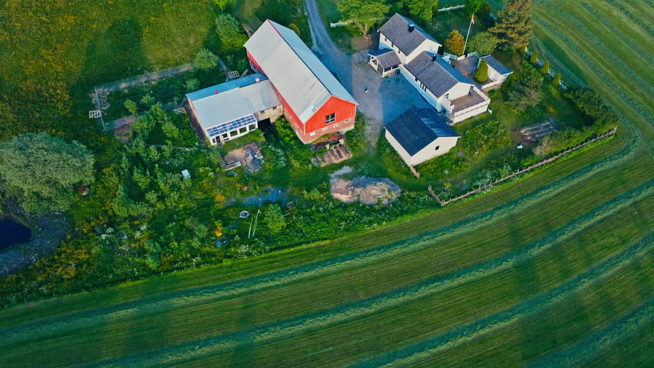 Lush Green Fields And Farmhouses In Norway - Drone Shot