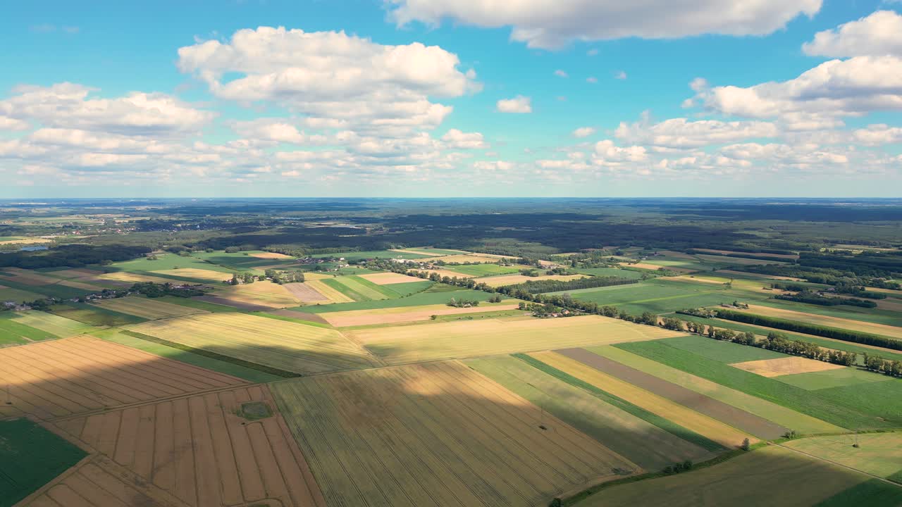 Aerial view with the landscape geometry texture of a lot of agriculture fields with different plants like rapeseed in blooming season and green wheat
