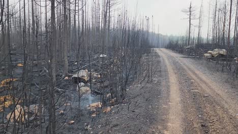 slow panoramic shot showing the devastation of the kirkland lake wildfires, ontario canada