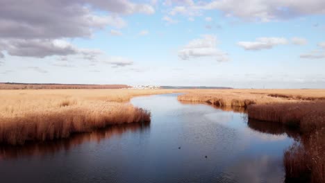 At-the-bird-watching-point,-the-drone-is-flying-by-the-stream-from-the-air