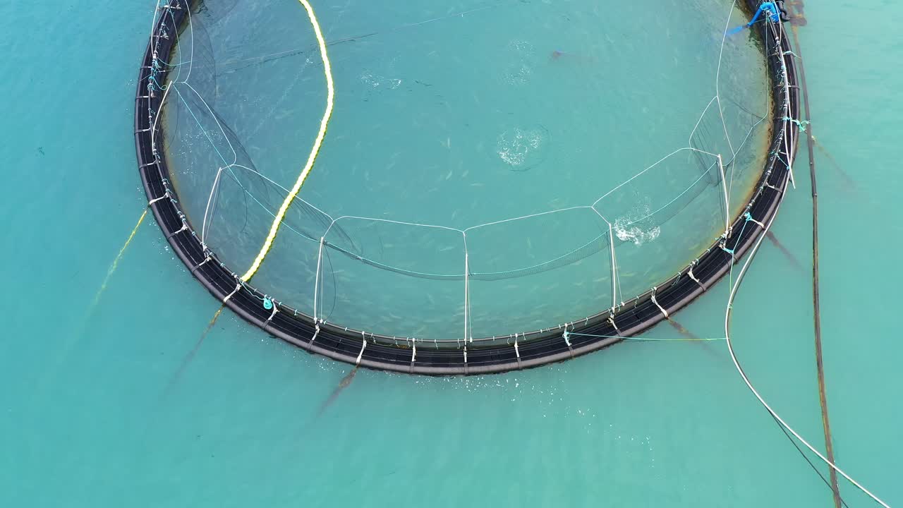 노르웨이에서 연어  ⁇ 시를 하는 공중 촬영