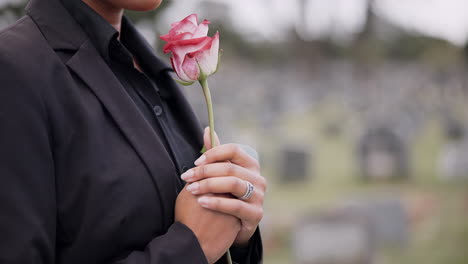 Funeral,-cemetery-and-person-with-rose-sad