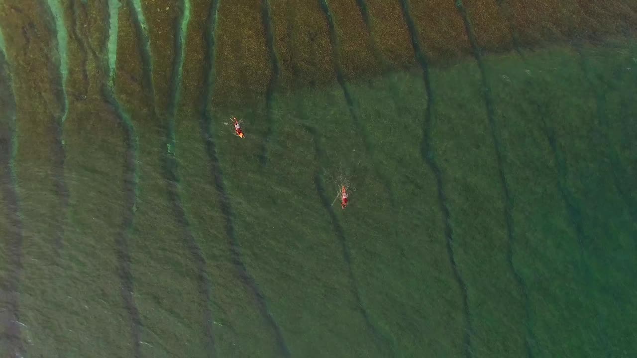 청록색 바다에서 파도를 타는 서퍼