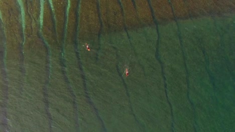 Surfer-Catching-A-Wave-in-Turquoise-Waters