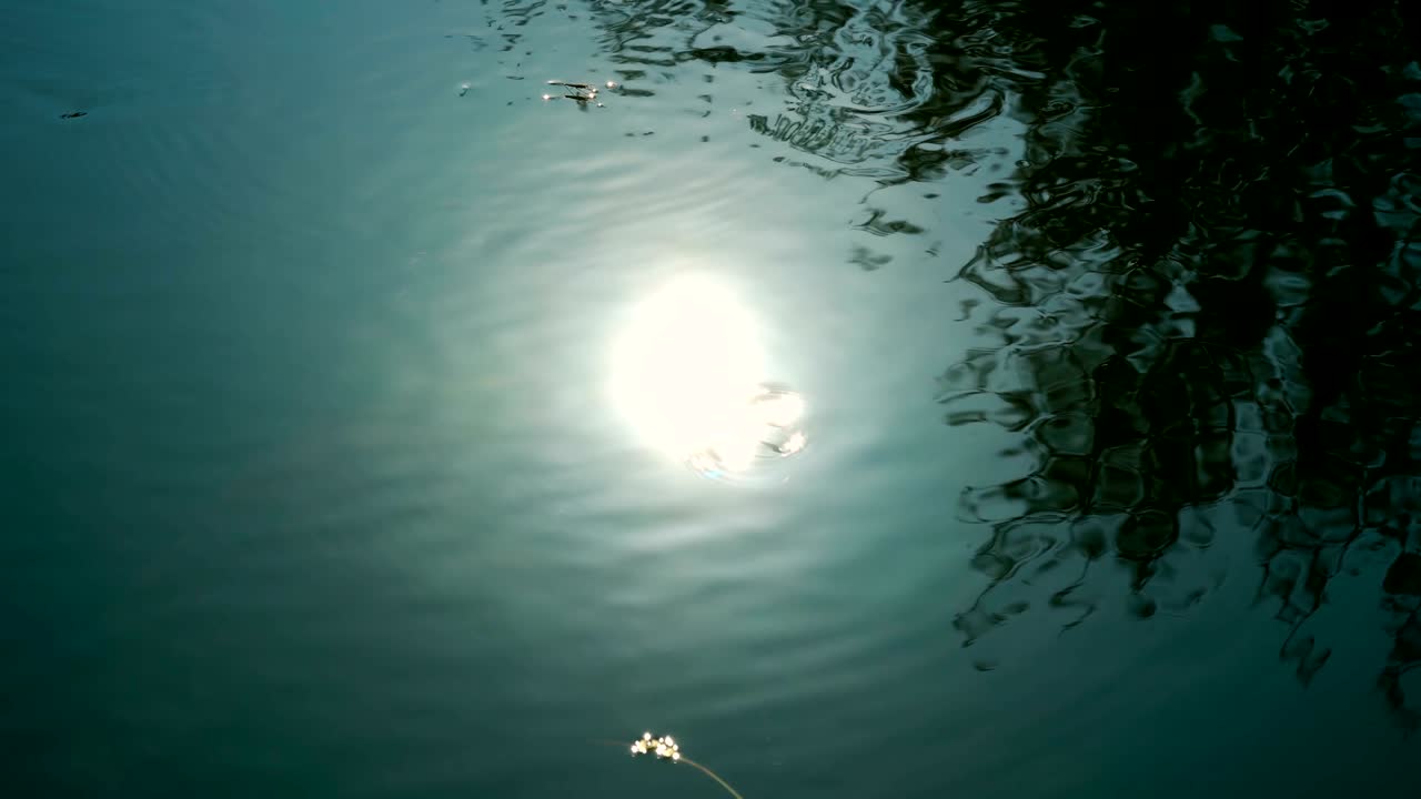 el sol se refleja en el agua