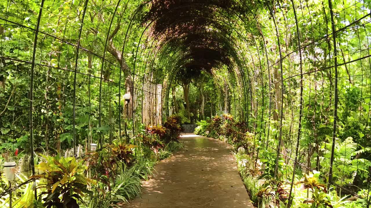 Green Tunnel Garden Walkway
