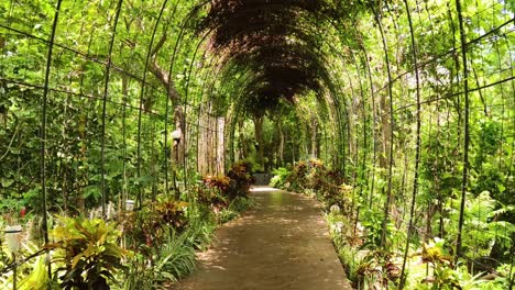 green tunnel garden walkway