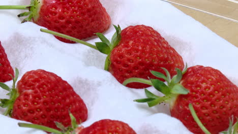 fresh strawberries in a white container