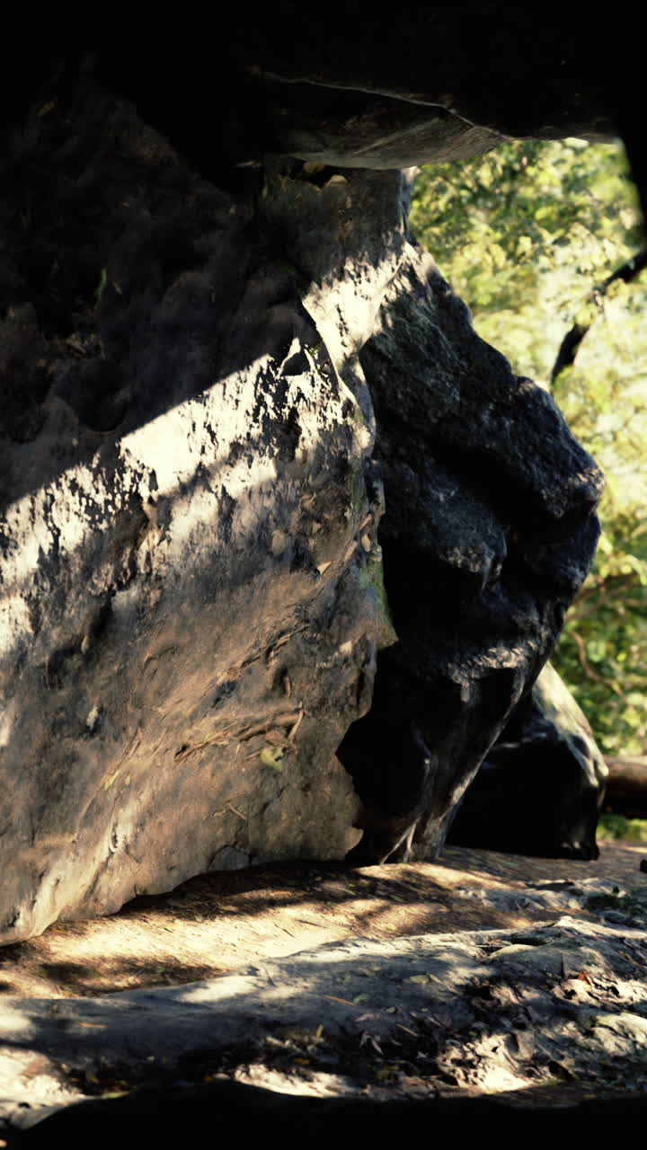 cueva de roca en el bosque