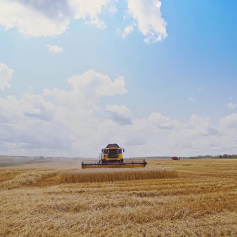 Grain harvesting combine