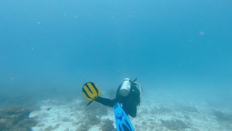 the ocean is his playground