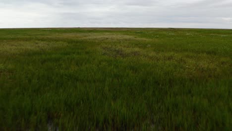 aerial drone shot flying low over thawed tundra permafrost near the arctic in barrow alaska with grass water and flowers