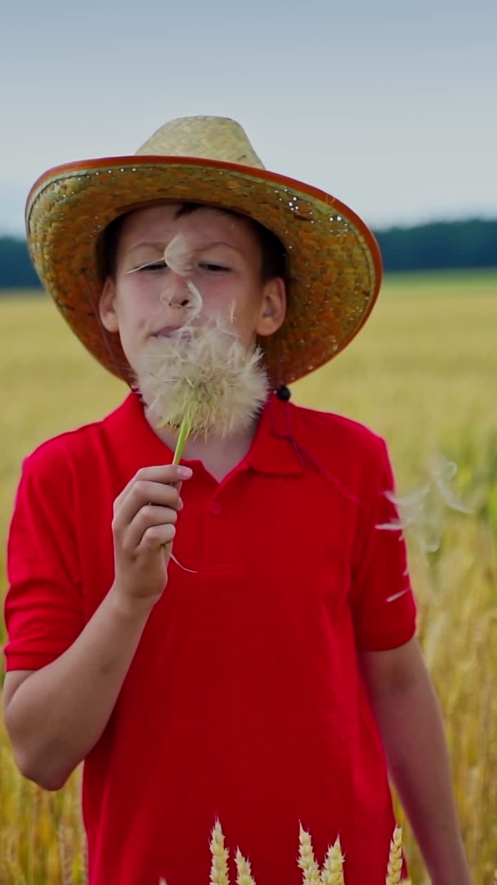 Teenager in straw hat on wheat field. Boy is blowing into the dandelion on beautiful nature background in farmland. Slow motion. Vertical video