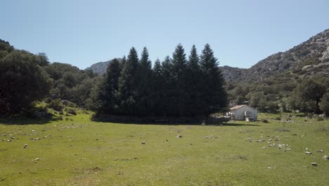 Landmark-Casa-de-Los-Pinsapos-endangered-Spanish-Fir-Trees-in-Grazalema,-Spain