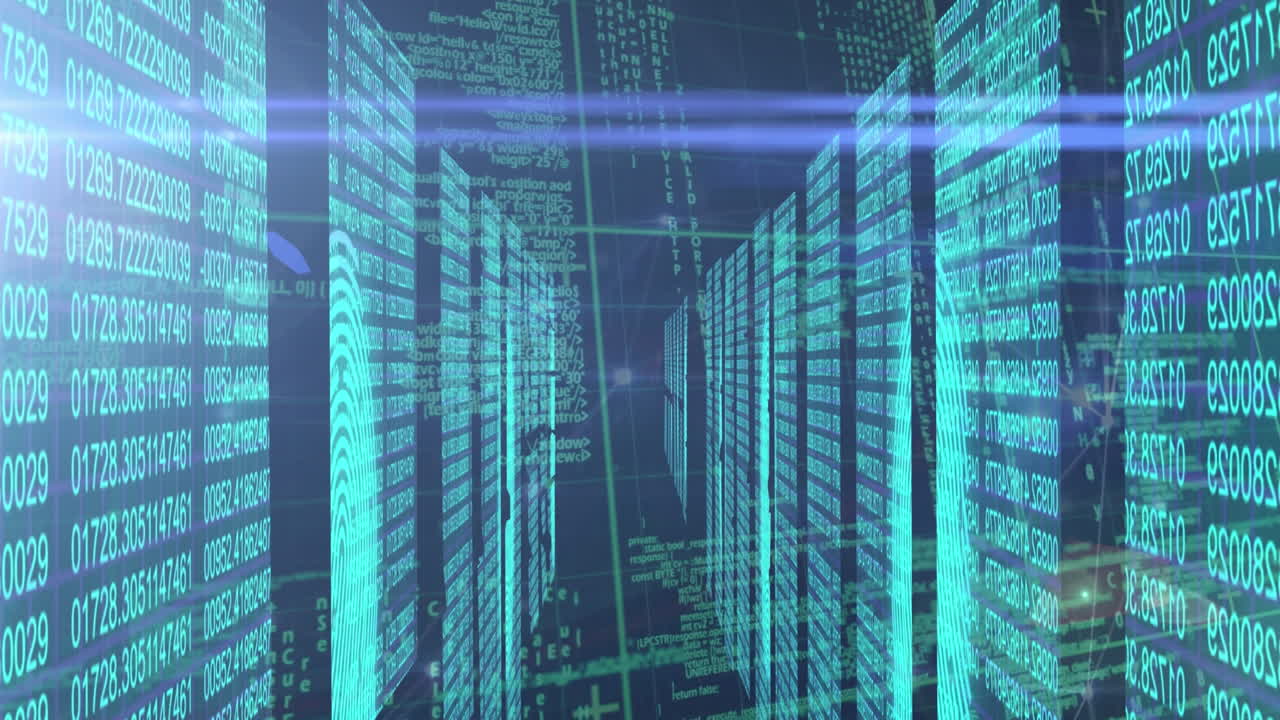 animación de la red de conexiones a través del procesamiento de datos