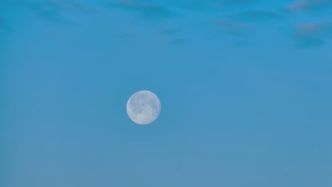 big round moon in the blue morning sky, timelapse