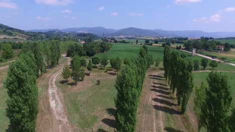 drone flying low over tree tops in the tuskany in italy