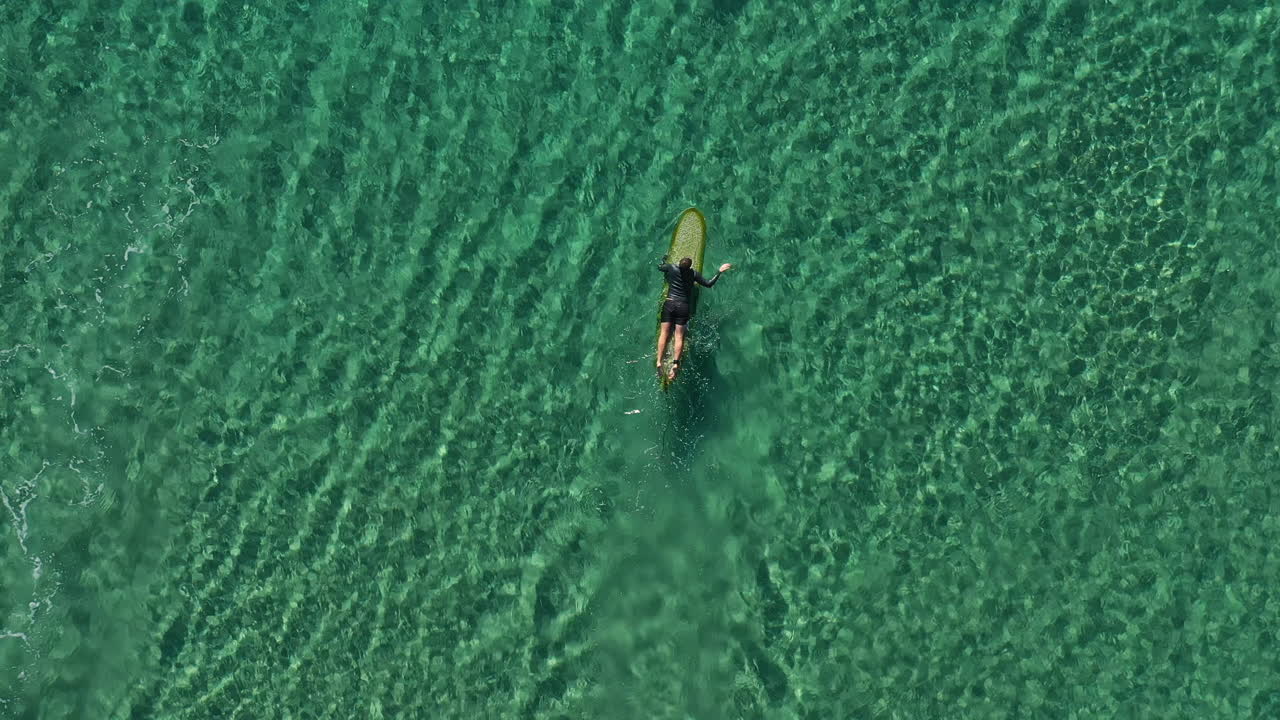 4k Drone shot of a pro surfer heading out to catch waves in the beautiful turquoise sea water at Byron Bay, Australia