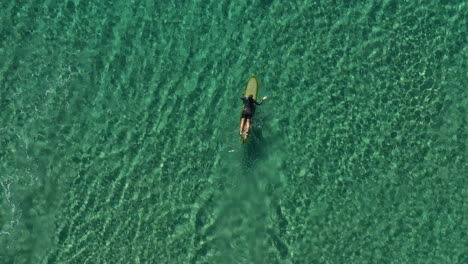 4k-Drone-shot-of-a-pro-surfer-heading-out-to-catch-waves-in-the-beautiful-turquoise-sea-water-at-Byron-Bay,-Australia