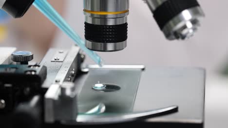 microscope close-up