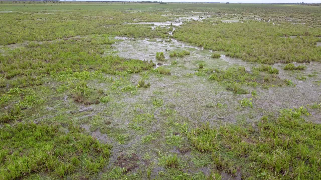 Wetlands of northeast Argentina shooted with drone