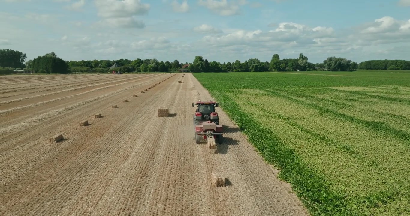 Un drone survole un tracteur rouge tirant une presse à balles de paille à travers des andains de blé récolté dans la campagne néerlandaise, créant des balles de paille sous un ciel bleu vif avec des nuages cotonneux