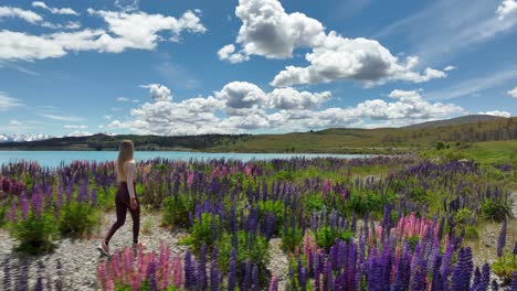 fitte blonde vrouw die door levendig lupine bloemenveld loopt in nieuw-zeeland