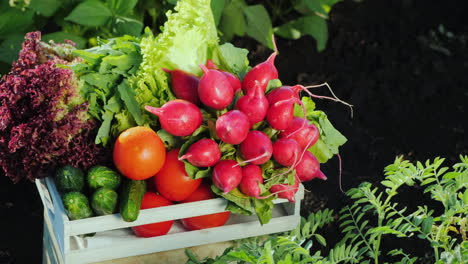 A-Box-Of-Fresh-Vegetables-Is-Among-The-Green-Plants-In-The-Garden-Organic-Products-Concept