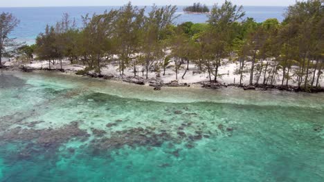 white sandy beach on tropical island surrounded by coral reef, aerial view