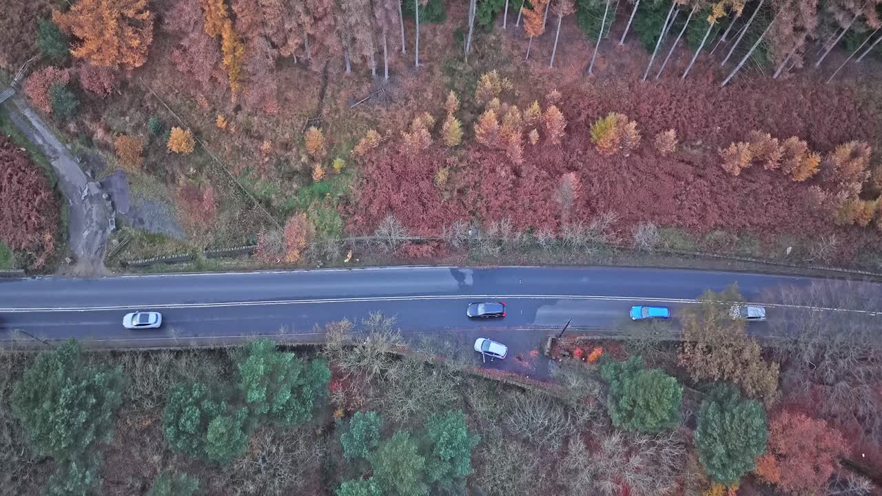 Top-down shot of streams of cars traveling the A628 Woodhead Pass, upland highway winding through autumnal forest vibrant foliage and ferns above Woodhead Reservoir in England’s Pennines