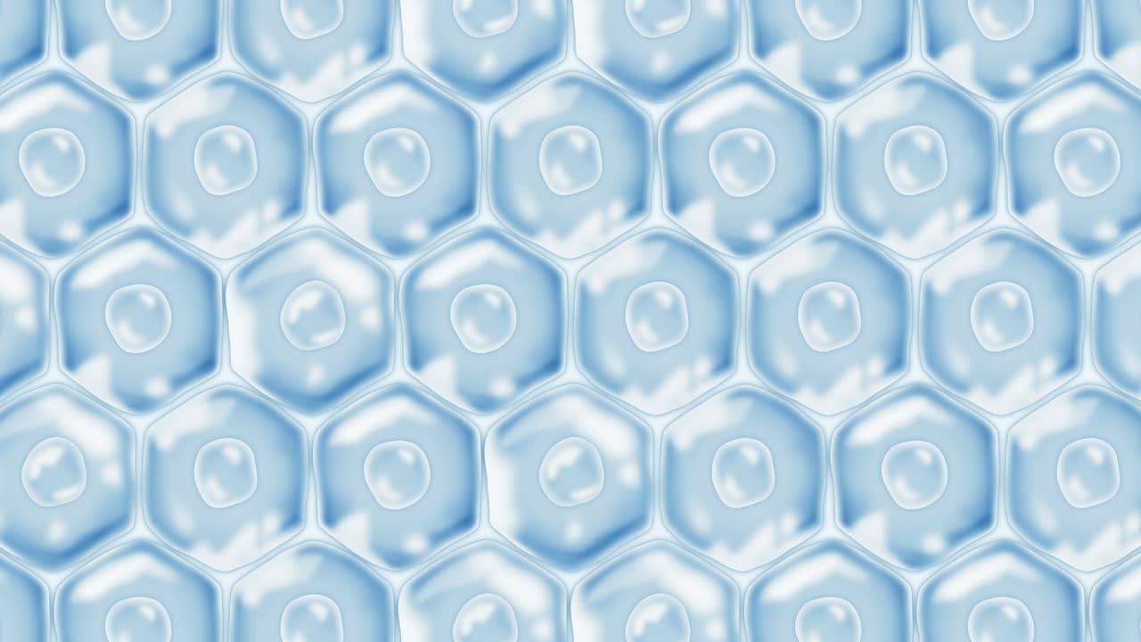 Human skin cells. Each cell with membrane. Cellular therapy. Disease treatment. Nucleus and vacuole. Regeneration. Loop animation.