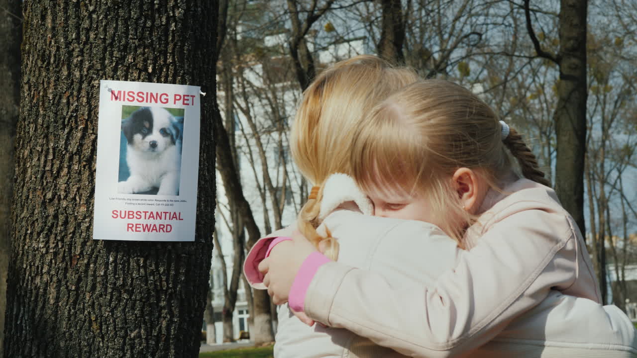 엄마는 나무에서 개를 잃은 소녀를 달래다 실종된 강아지에 대한 발표를 걸다