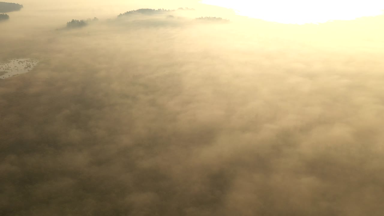 리투아니아에서 손길이 닿지 않은 자연의 가장 큰 지역인 cepkeliai 보호 구역의 드론 공중 시간 경과는 늪지, 블랙 알더 늪, cladinoso-callunosa 숲 및 호수의 영광스러운 습한 황무지입니다.