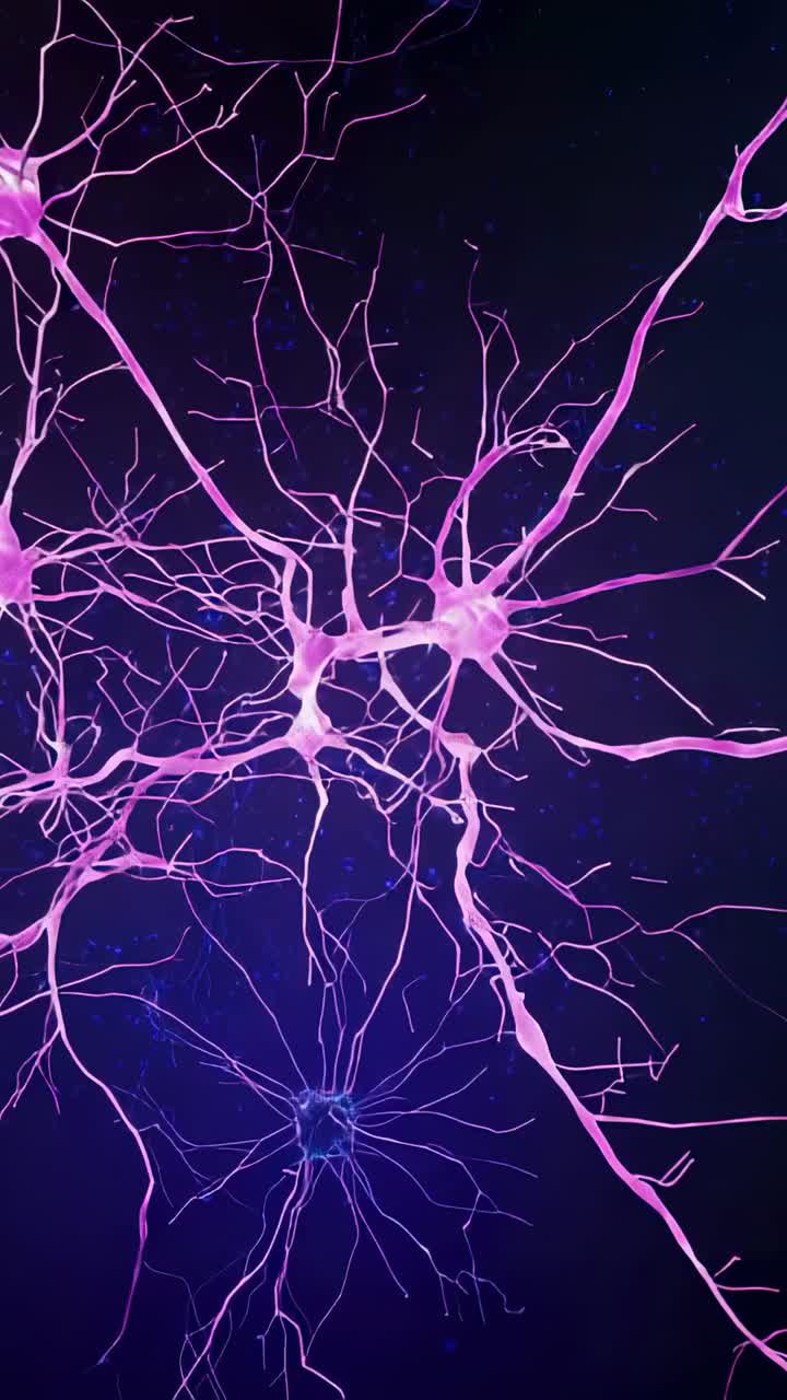Vertical video: Shifting neuron activating pink wave through dendrites and synapses, lab imaging
