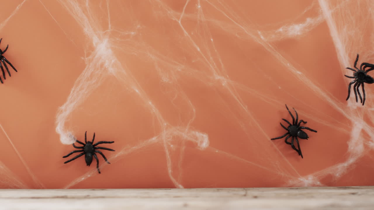 Video på halloweenspindlar och spindelnät med utrymme för text på orange bakgrund